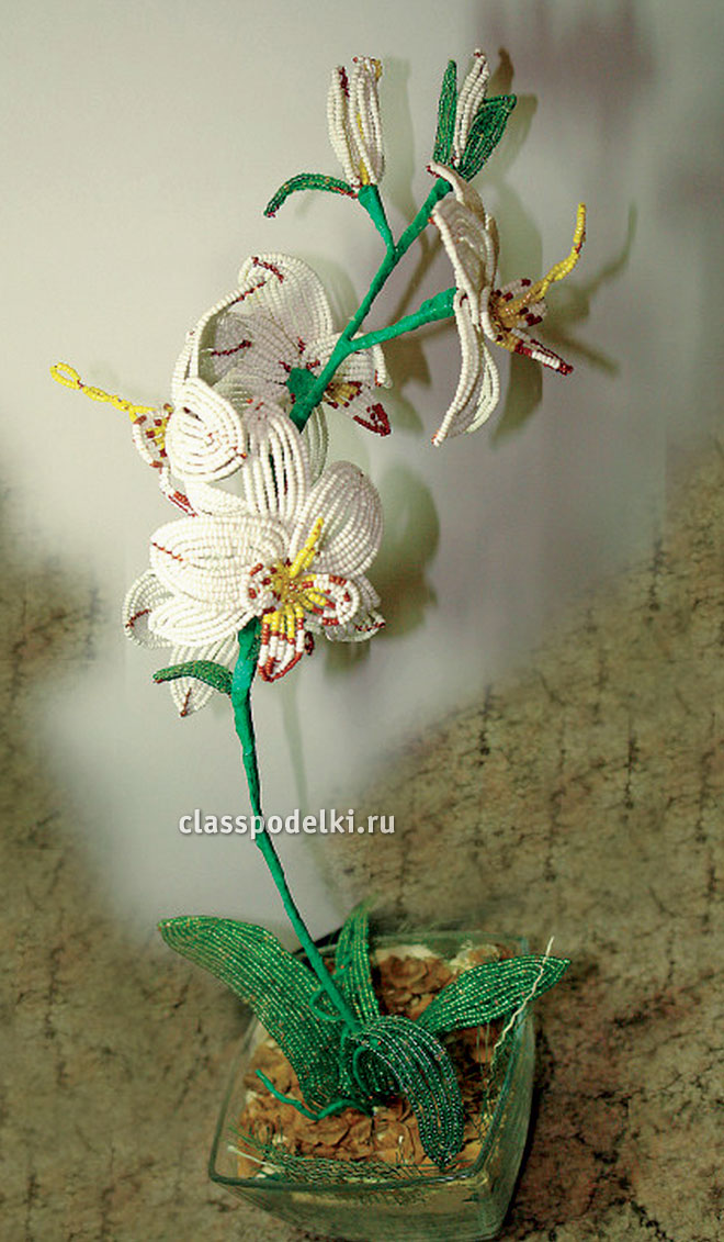 орхидея из бисера в горшочке