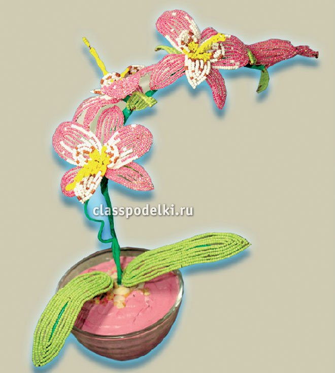 орхидея своими руками из бисера